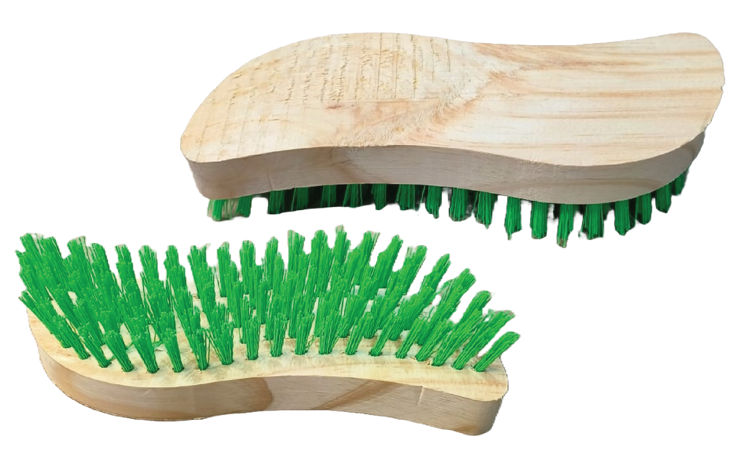 Brush Snake