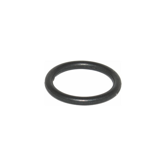O-RING FOR H2000 SPRAY GUN