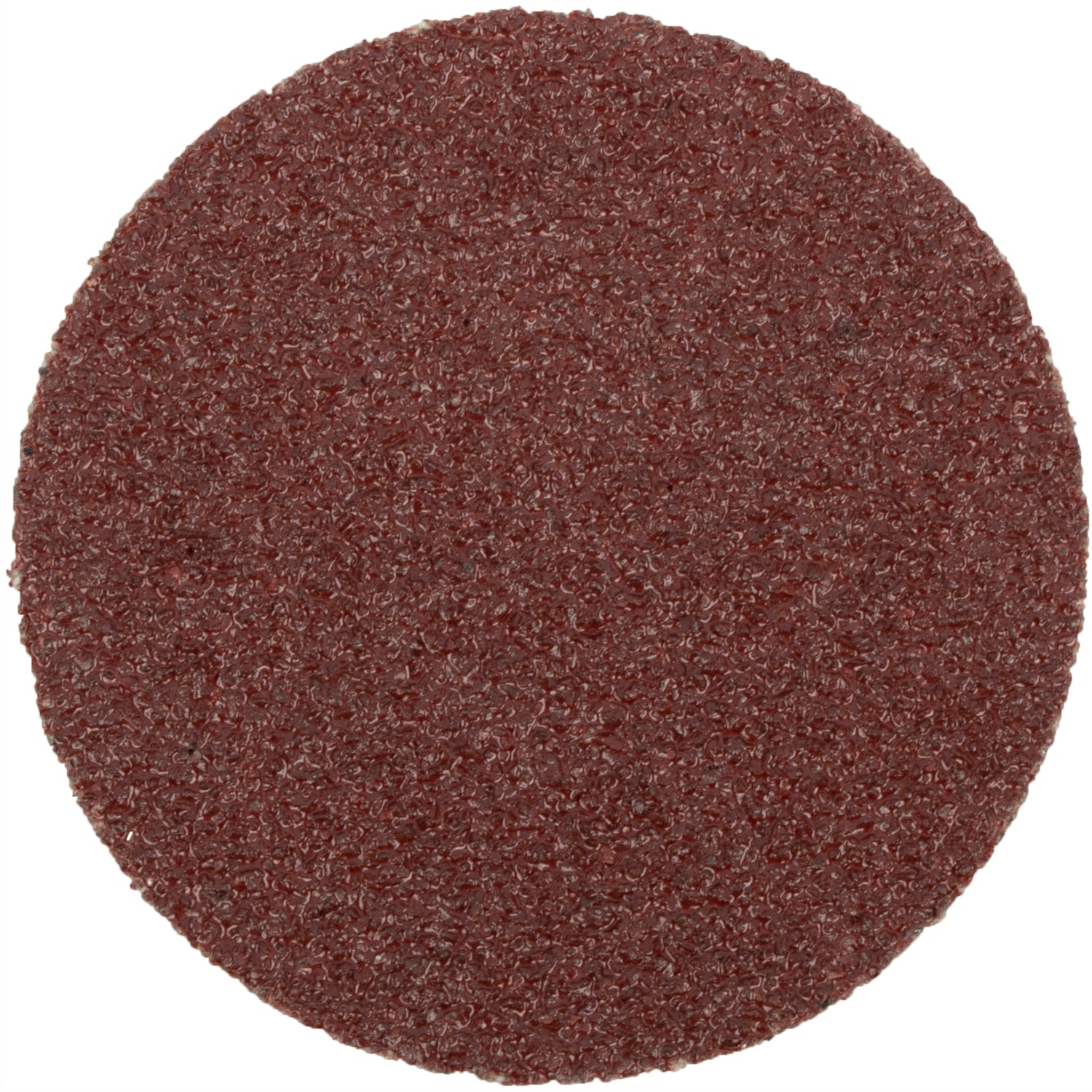 SAND DISC SCREW TYPE 50MM 60G 10PC FOR SURFACE CONDITIONING KIT