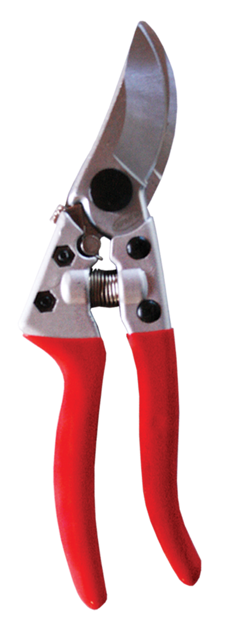 Shear Garden Pruning - Professional Sk5